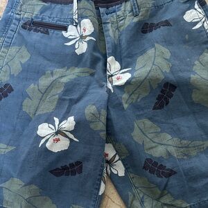 GAP Floral Patterned Blue Shorts Size 34